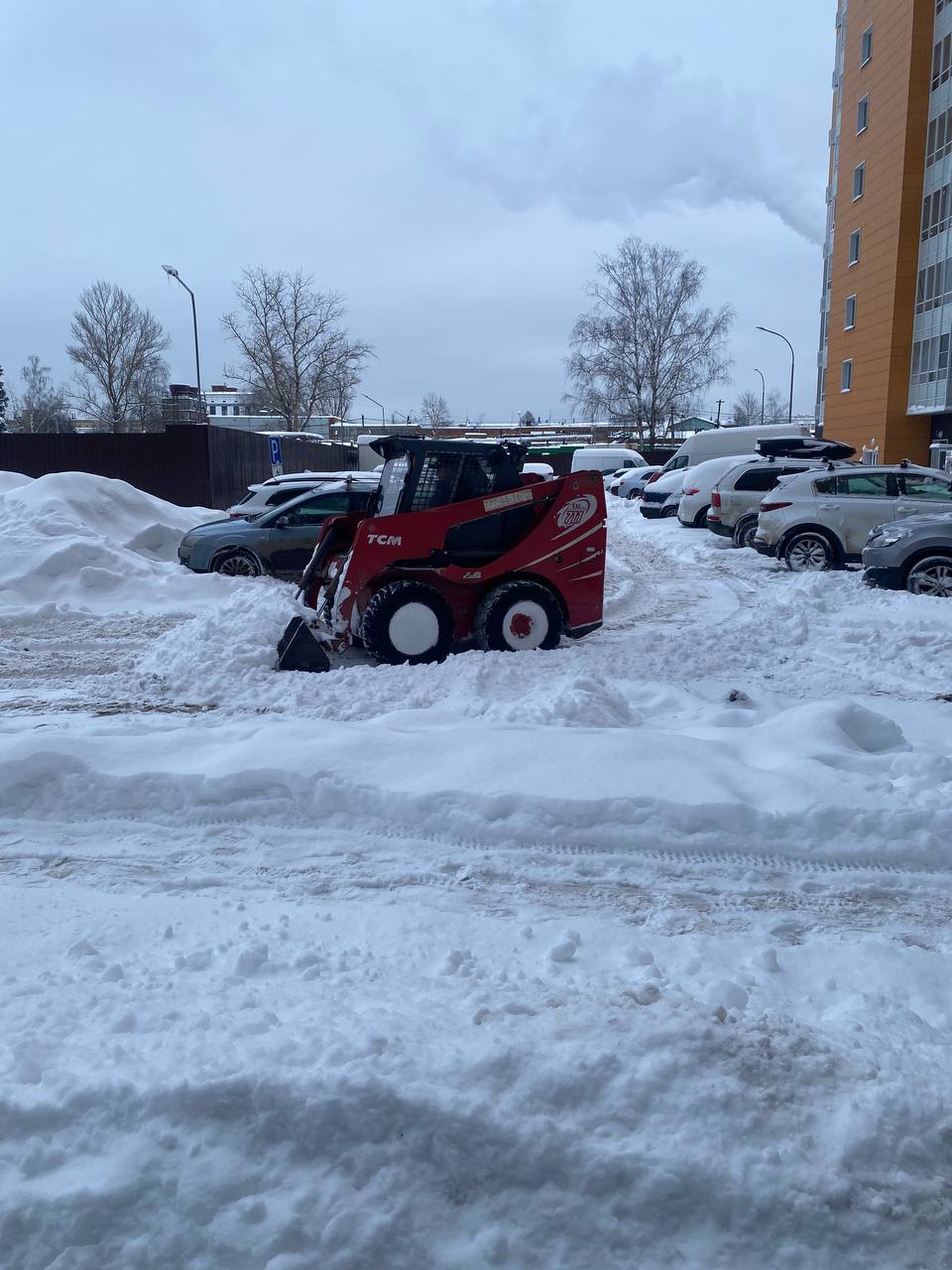 Изображение_1